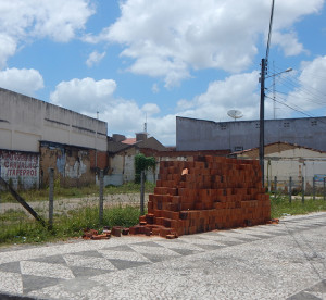 O dinheiro arrecadado com a venda deverá ser doado a uma instituição filantrópica