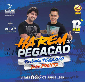 Harém da Pegacao