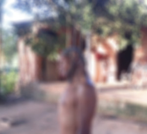 Causa da morte ainda é desconhecida