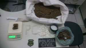 Drogas apreendidas