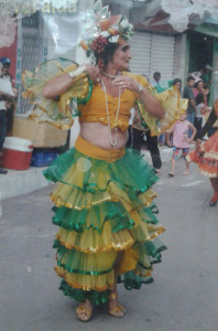 A fantasia preferida de Everalda é a de Carmem Miranda (Foto: Arquivo pessoal)