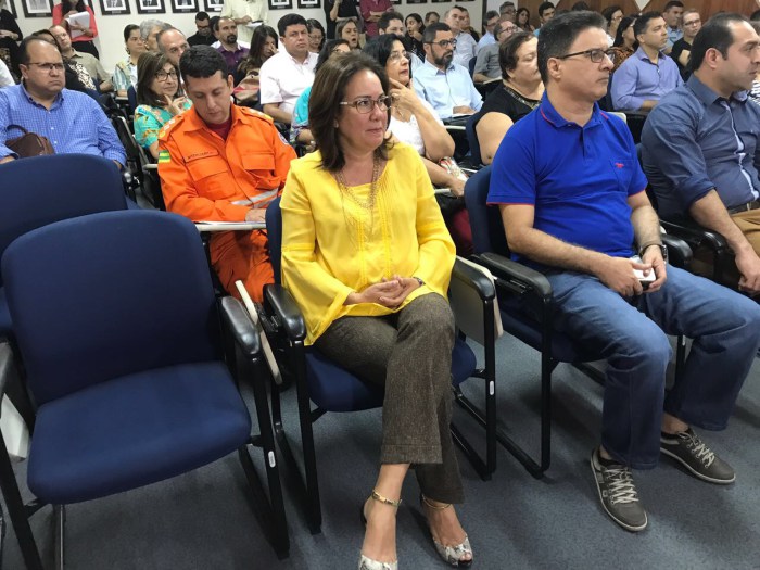Deputada estadual Goretti Reis