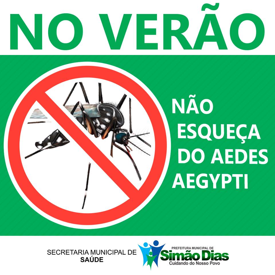 Verão requer cuidado dobrado com mosquito