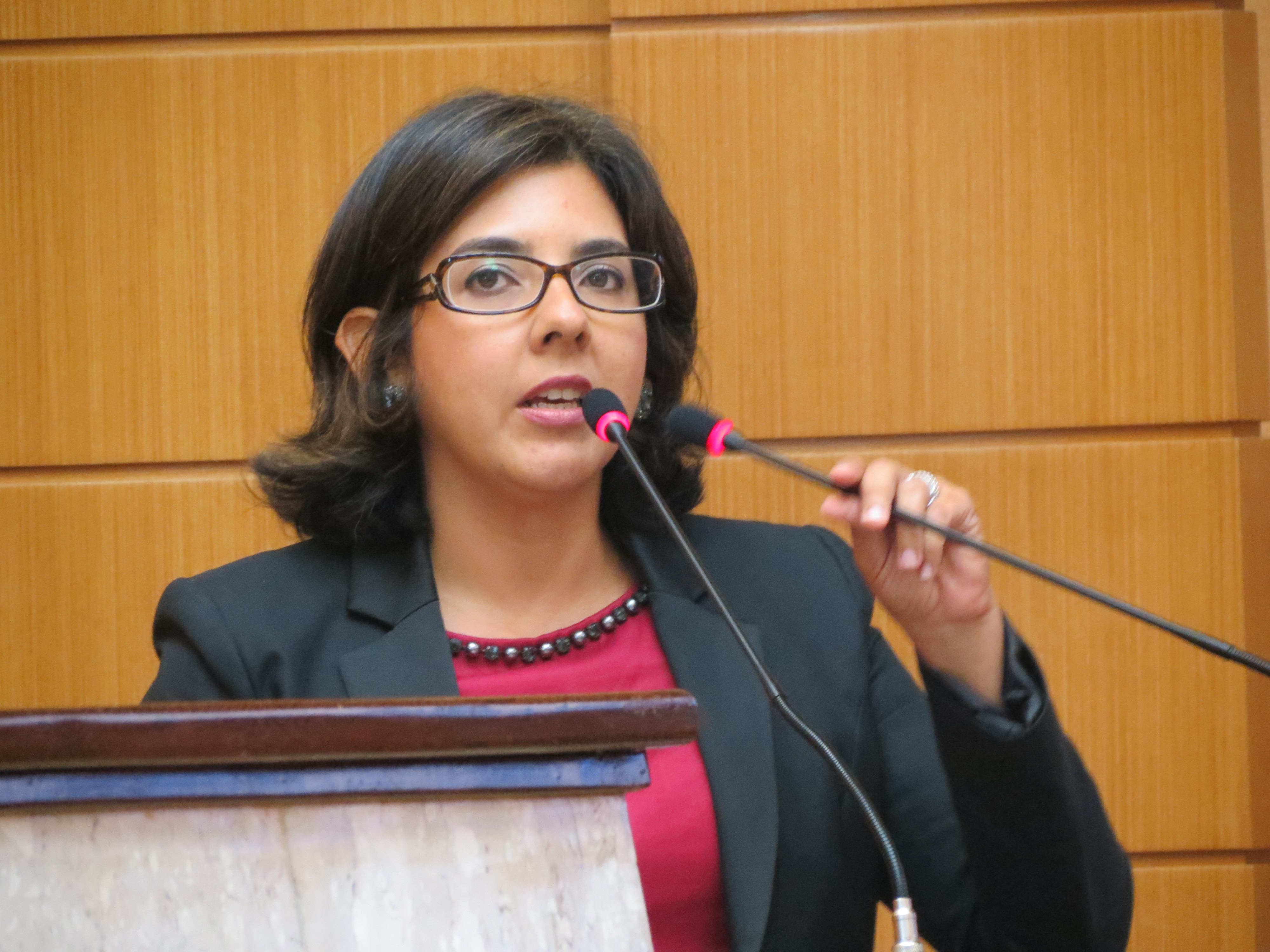 Delegada Ana Carolina Machado
